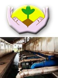 Haïti - Économie : Dégâts matériels importants à l’usine Frager, d'extraction d'huile de vétiver