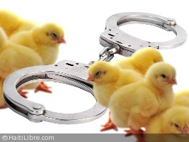 Haiti - Security : Seizures in series of poultry products...