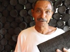 Haiti - Environment : Towards the production of Green Bio Briquettes