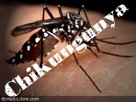 Haiti - Health : Chikungunya 14 cases confirmed in the country