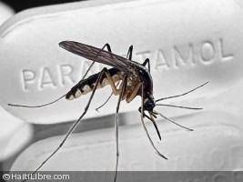 Haiti - Health : Outbreak of Chikungunya, gold business for some...