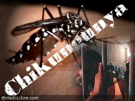 Haïti - Santé : 23% des détenus du commissariat de Petit-Goâve, atteint de Chikungunya