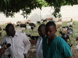 Haïti - Agriculture : Plan spécial agricole à Cité Soleil