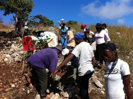Haiti - Economy : Launch of an ambitious program to create jobs - 54,800 jobs