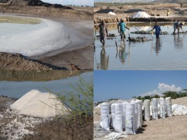Haiti - Economy : Salt Marshes, creation of nearly 46,000 man-days of work
