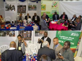 Haiti - Agriculture : 13th edition of the Caribbean Agriculture Week