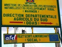 Haiti - Agriculture : Positive results of the first year of the project SECAL
