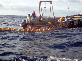 Haiti - Agriculture : Fishing in Haiti, review and prospects