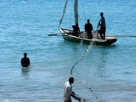 Haïti - Agriculture : 15 millions de dollars de la BID pour la pêche traditionnelle