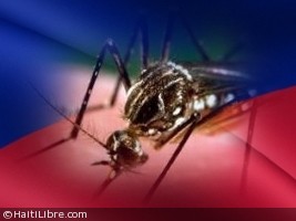 Haiti - FLASH : 5 cases officially confirmed of Zika fever in Haiti
