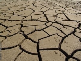 Haiti - Agriculture : The country hit by the worst drought in 35 years !