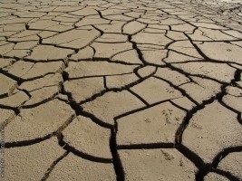 Haiti - Environment : UN calls for the fight against desertification in Haiti