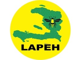 Haiti - Elections : LAPEH expresses about elections