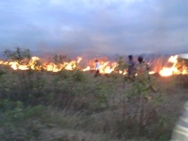 Haiti - FLASH : Arson in the facilities of AGRITRANS S.A.
