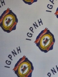Haiti - Security : IGPNH, 456 acts of investigation