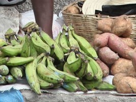 Haiti - Economy : Limited products and sharp increase in market prices