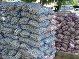 Haiti - DR : Seizure of nearly 2 tons of contraband garlic from Haiti