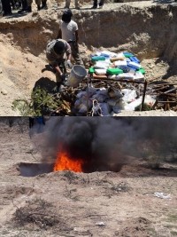Haïti - Sécurité : La PNH détruit plusieurs tonnes de stupéfiants