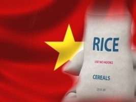 Haiti - NOTICE : Sale of 720,000 bags of 25 kg of Vietnamese rice