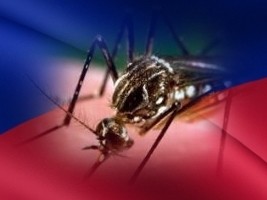 Haïti - FLASH : Le virus Zika introduit au Brésil provenait d’Haïti