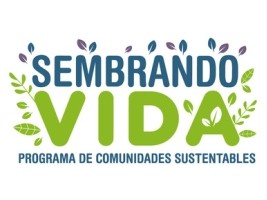 Haiti - Environment : Mexico will implement the «Sembrando Vidas» program in Haiti, a first in the Caribbean,