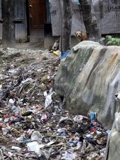 Haiti - Environment : France gives 30.000 Euros to help Haiti to pick up trash