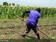 Haïti - Agriculture : 94 jeunes gradués en techniques agricoles