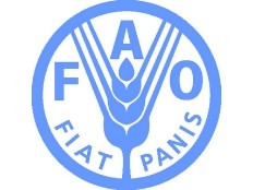 Haiti - Agriculture : FAO distributes seeds... of the discord...