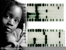 Haïti - Social : Test ADN et paternité responsable