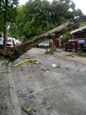 Haiti - Environment : Strong winds and rain, extensive damage