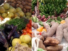 Haiti - Social : Exhibition of fruits and vegetables of Haiti
