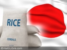 Haïti - Santé : Le Japon dément formellement que le riz livré en Haïti est contaminé