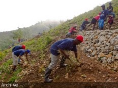 Haiti - Environment : A green barrier of 500 hectares at Morne l'Hôpital