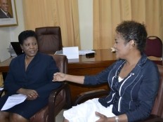 Haïti - Politique : Formation des femmes dans le domaine de l’entreprenariat