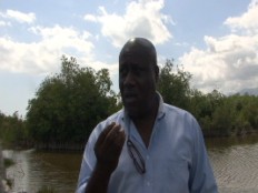 Haïti - Agriculture : Repeuplement, conservation, réhabilitation et gestion des mangroves dans le Sud