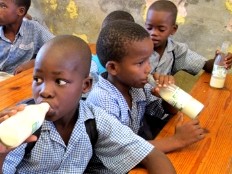 Haiti - Agriculture : $2MM for the development of production and transformation of milk