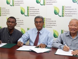 Haiti - Agriculture : The IDIAF and Taiwanese cooperation support Haitian agriculture