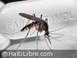 Haiti - Health : Outbreak of Chikungunya, gold business for some...