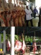Haiti - Agriculture : Towards the modernization of slaughterhouses