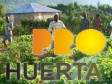 Haiti - Agriculture : True success of ProHuerta Program in Haiti