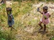 Haiti - Environment : Reforestation campaign of Sean Penn