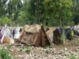Haiti - Social : Makeshift camps for returnees