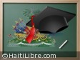 Haiti - FLASH : Baccalaureate Results 2015 (extraordinary session), per student