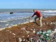 Haiti - ALERT : Algae invade the coast of the Great South