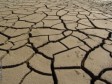 Haiti - Agriculture : Drought, emergency situation