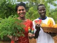 Haiti - Economy : Moringa and chocolate from Haiti on sale in the US