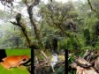 Haiti - Environment : The Macaya National Park, one of the key natural sanctuaries of Haiti