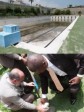 Haiti - Sports : Launch of renovation works of the Olympic swimming pool