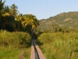 Haiti - Environment : Project of 3.5 million Euros for the South Department