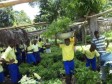 Haiti - Environment : Let's grow the school garden !